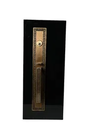 Main Door Lock_img_1