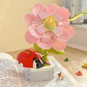 Ladybug Hibiscus Potted Plant_img_0