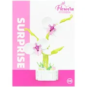 Phalaenopsis Potted_img_2