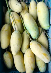 ব্যানানা ম্যাঙ্গো🥭 কেমিক্যাল/কার্বাইড মুক্ত_img_0