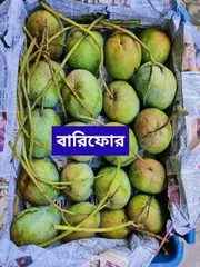 আম (বারি-৪🥭) কার্বাইড/কেমিক্যাল মুক্ত_img_0