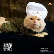 Sultansulaimon_img_3