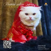 hurram sultana outfit 4 kg_img_1