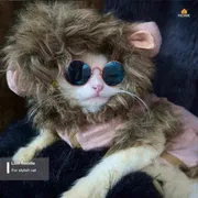 cat laion hoodie (custome)_img_1