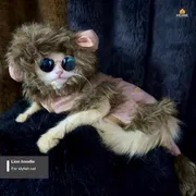 cat laion hoodie (custome)_img_2
