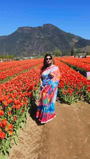 Tulip_img_0