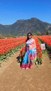 Tulip_img_1