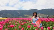 Tulip_img_5