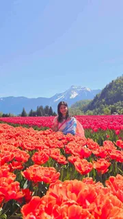 Tulip_img_8