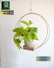 Wall Rack_img_0