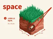 Apt Jazz (18 capsule)_img_1