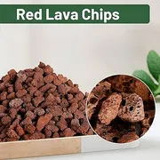 Lava rock chips (100 grm)_img_0