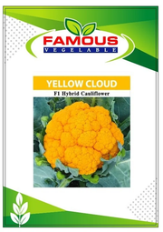 কমলা / হলুদ কালার রঙিন ফুলকপি ইয়োলো ক্লাউড । ORANGE colored cauliflower seeds YELLOW CLOUD_img_2