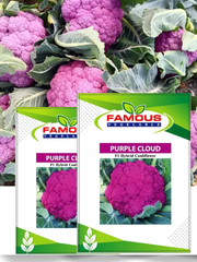 বেগুনি কালার রঙিন ফুলকপি পার্পল ক্লাউড। Purple colored cauliflower seeds Purple cloud_img_0
