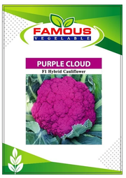 বেগুনি কালার রঙিন ফুলকপি পার্পল ক্লাউড। Purple colored cauliflower seeds Purple cloud_img_1