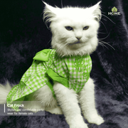 2 kg cat frock_img_0