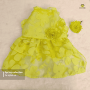 2.3 kg cat frock_img_0