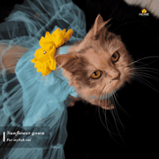 3.5 kg cat frock_img_0