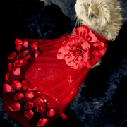 Flower gown (custome)_img_8
