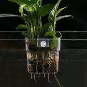 acrylic plant holder_img_1