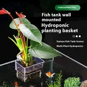 acrylic plant holder ( 4pis combo)_img_1