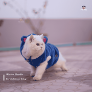 panda hoodie (3 kg)_img_0