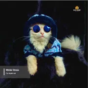 Cat hoodie (10 kg)_img_0