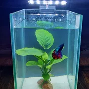 X3 Aquarium led light_img_0