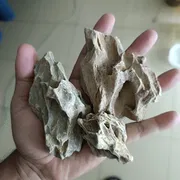 dragon stone ( 1 kg)_img_1