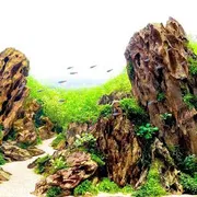 dragon stone ( 1 kg)_img_4