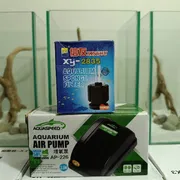 air pump + pipe + mini sponge filter_img_0