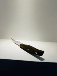 3pcs Pairing Knife Set_img_4