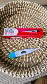 Digital Temperature_img_0