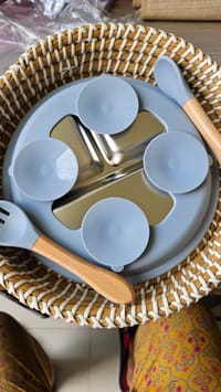 বেবিদের ফিডিং প্লেট_img_3