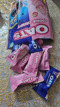 Oats Bar Crispy (20pics)_img_1