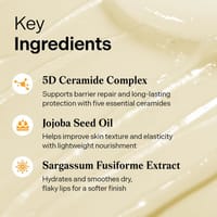 Torriden SOLID IN Lip Essence 11ml_img_1