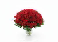 100pcs Red Rose With Glasses_img_0