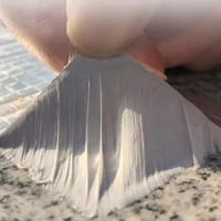 Heavy Duty Waterproof Seal Tape | Leak & Crack Repair Solution_img_2