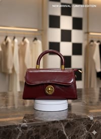 Luxury Handbag_img_7