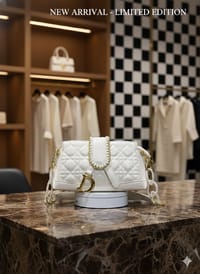 Luxury Handbag_img_8