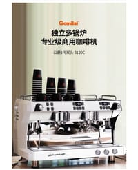 Gemilai 3120C Commercial Double-Head Semi-Automatic Coffee Machine Cross-Border 9Bar High-Pressure Extraction Espresso Machine Made in Chinese manufacture Chinese imported direct China_img_18