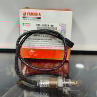 Oxygen Sensor FZS-V3 V4_img_0