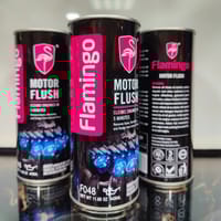 Flamingo Motor Flush_img_2