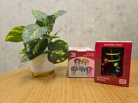 Montessori Wooden Bead Maze Toy for Toddlers – Educational Wire Roller Coaster & Abacus Puzzle (Ages 3+)_img_0