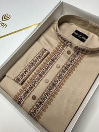 Beige Crown Majesty Panjab -A3M137_img_2