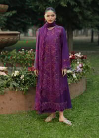 Unstitch Embroidery Dress_img_1