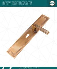 বড় সাইজের হ্যান্ডেল লক হাই সিকিউরিটি কফি রঙের মেইন ডোর লক_img_2