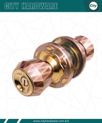 প্রিমিয়াম মানের রাউন্ড লক নতুন মডেলের ডোর লক অ্যান্টিক_img_1