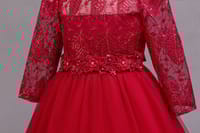 Imported ✨ Girls’ Long-Sleeve Lace Princess Dress – Flower Girl & Performance Outfit_img_2