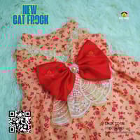 Cat frock (3.5 kg)_img_1